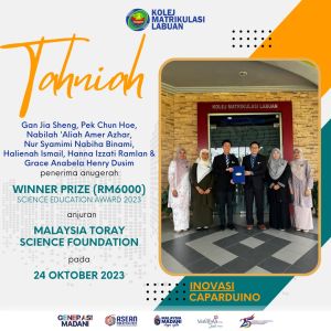 CAPARDUINO: Plug-and-Play Device Visualising Real Time Values Measured During the Charging Process of Capacitors